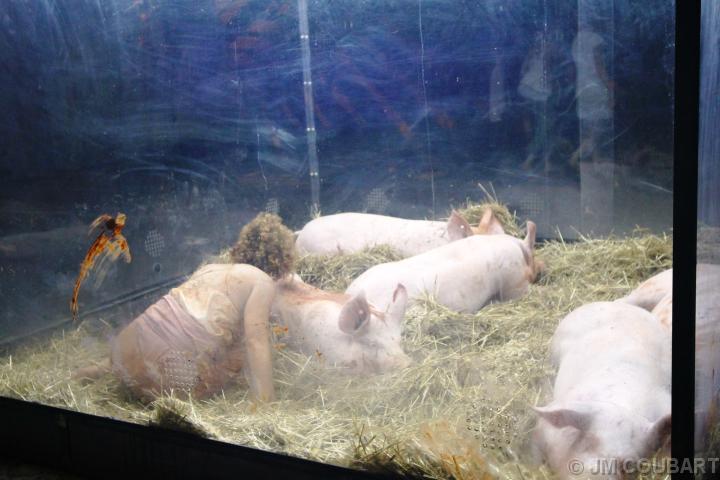 Diapositive suivante